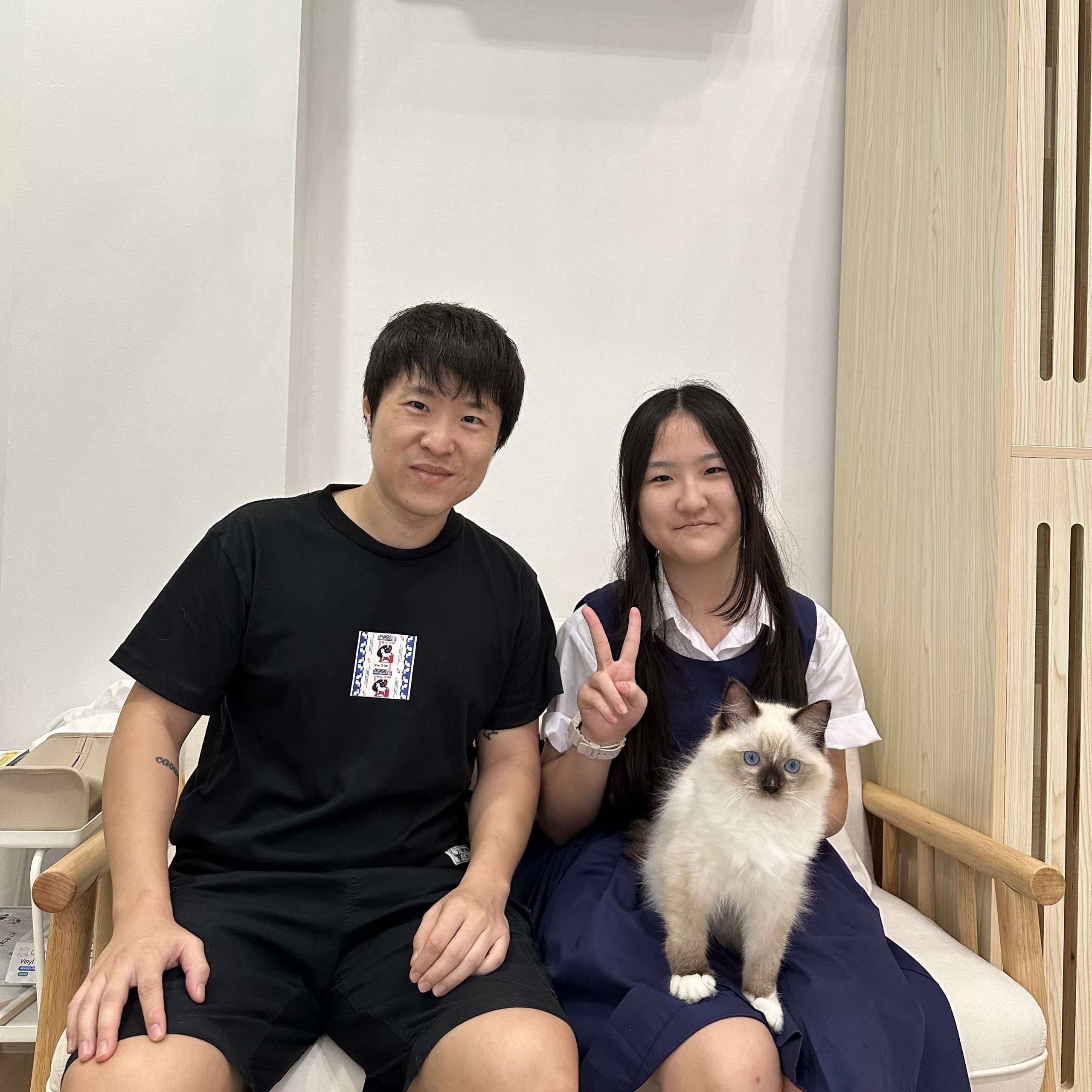 Ragdoll championship-bloodline parent from the selective breeders CatzillaSG imports from at the CatzillaSG champion-bloodline cattery in Singapore