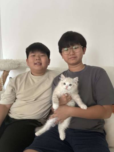 Ragdoll family with their CatzillaSG kitten in Singapore