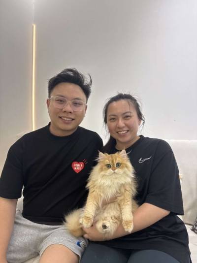 British Longhair family with their CatzillaSG kitten in Singapore