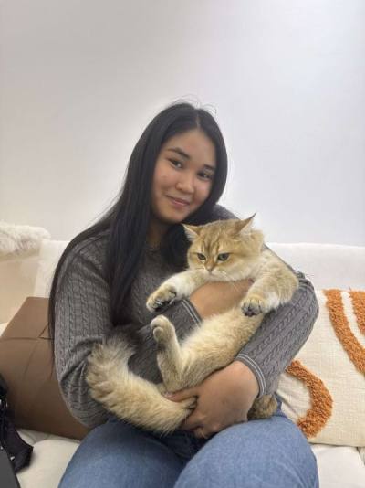 British Shorthair family with their CatzillaSG kitten in Singapore