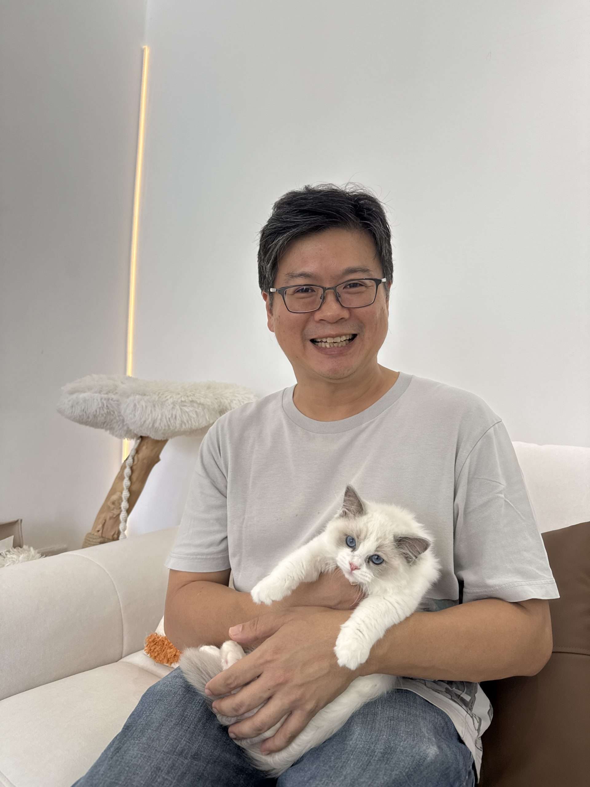 Ragdoll championship-bloodline parent from the selective breeders CatzillaSG imports from at the CatzillaSG champion-bloodline cattery in Singapore