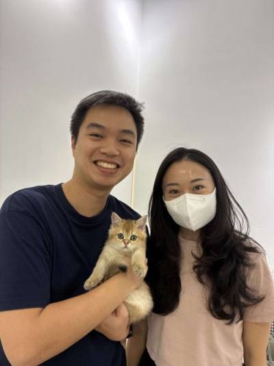 British Shorthair family with their CatzillaSG kitten in Singapore