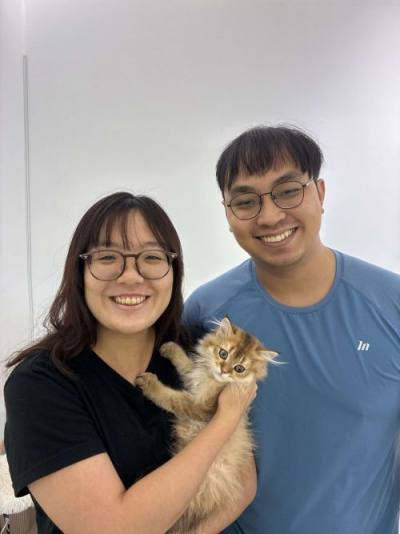 British Longhair family with their CatzillaSG kitten in Singapore