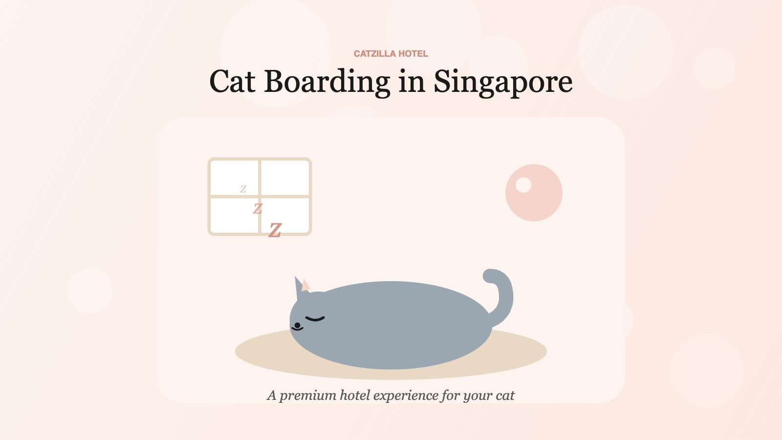 Cat Boarding in Singapore: A Complete Guide for Discerning Owners
