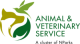 AVS logo